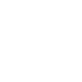 Bigtime Consulting - Bespoke Digital Solution - client - TATA Motors