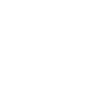 Bigtime Consulting - Bespoke Digital Solution - client - TATA Capital